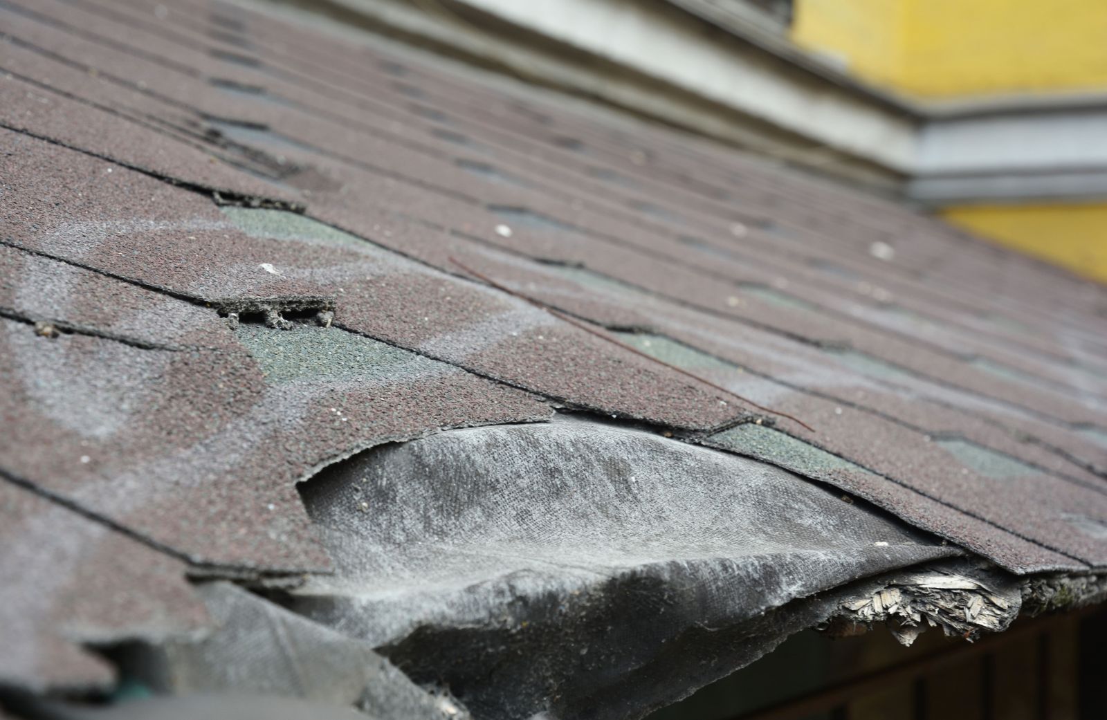 Avilas Roofing and Construction Images