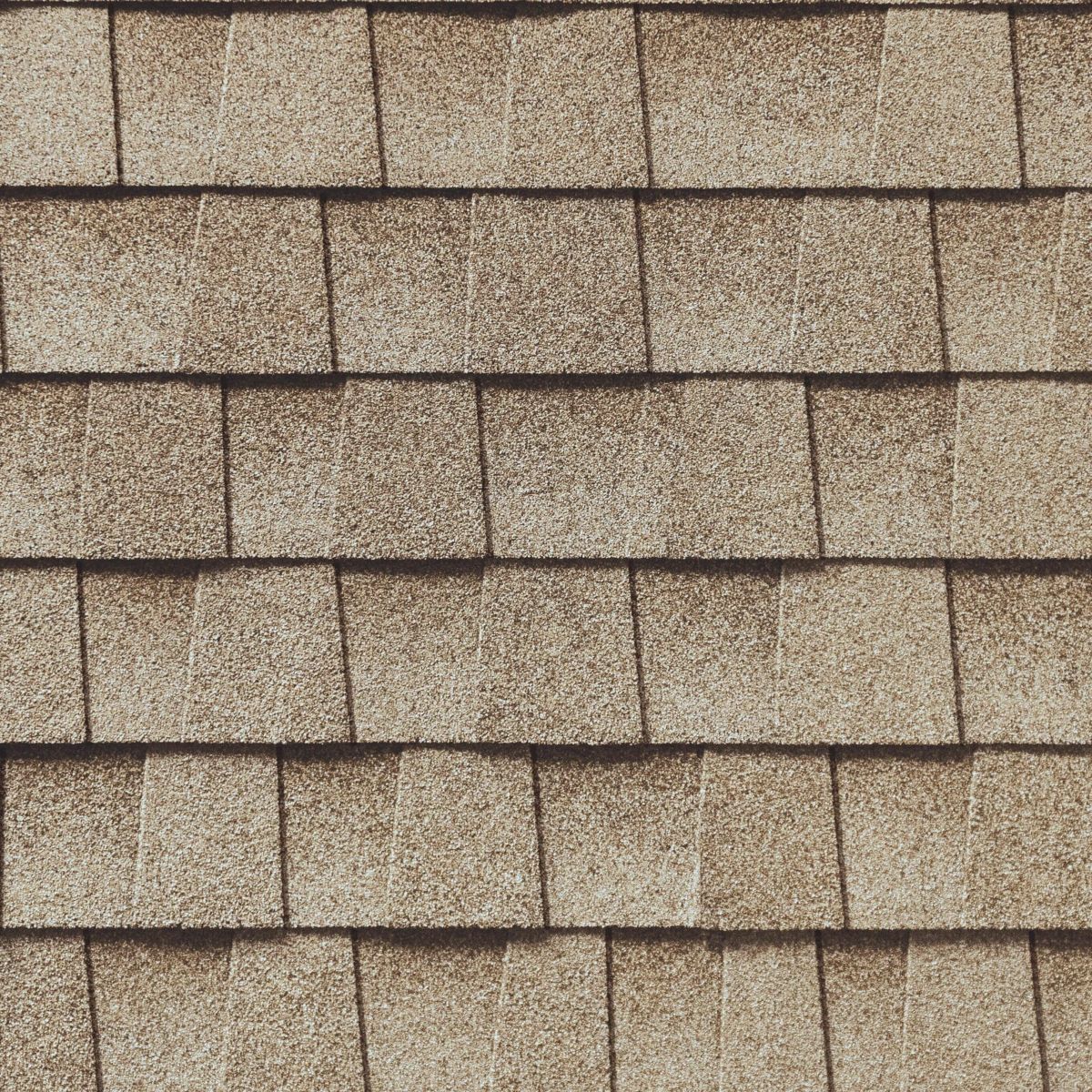 Avilas Roofing and Construction Images
