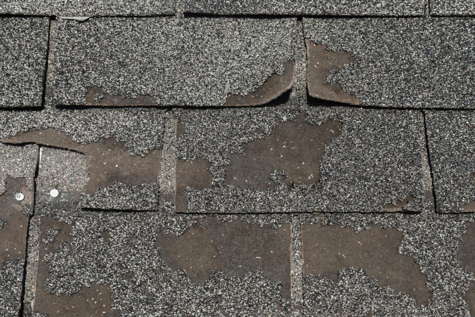 Avilas Roofing and Construction Images