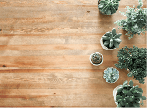 Avilas Roofing and Construction Images